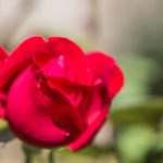 Séjour Découverte & Service 55+, Tabor, septembre 2018